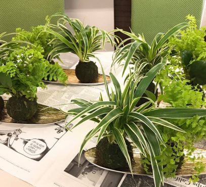 ガーデン教室ボグトベール